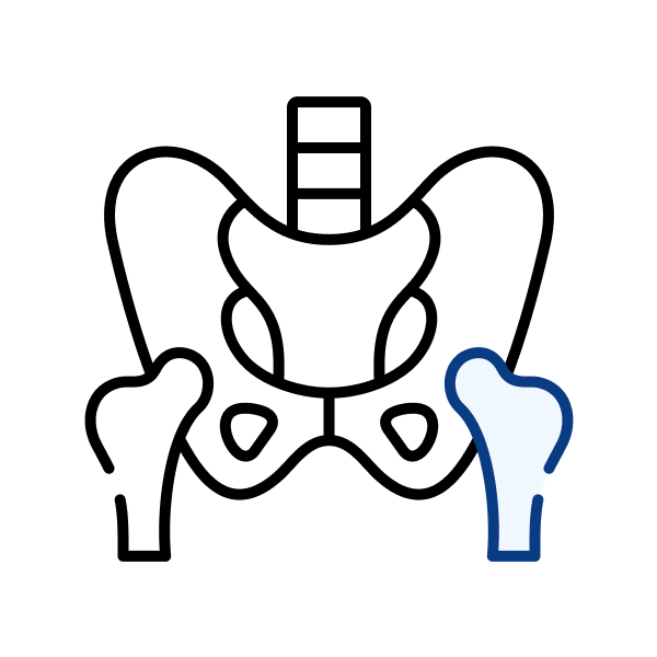 Total Hip Replacement