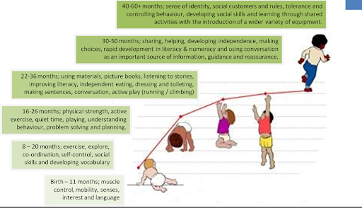 Development milestones